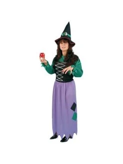 Alexander Costumes Adult Costumes Adult Melinda The Witch Costume