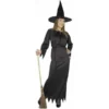 Charades Adult Witch Costume