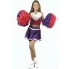 Charades Child's Cheerleader Costume