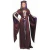 Charades Kids Costumes Child's Enchantress Of Camelot Costume