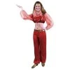 Charades Child's Fashion Harem Dancer Costume 2 Charades Child's Fashion Harem Dancer Costume