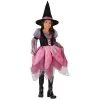 Fun World Toddler Wonderful Witch Costume Kids Costumes