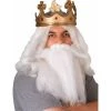 Rubies King Neptune Costume Beard And Mustache Set