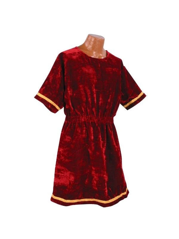 Alexander Costumes Adult Costumes Velvet Roman Tunic 3 Alexander Costumes Adult Costumes Velvet Roman Tunic