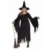 RG Costumes Velvet Witch Plus Size Costume Women's Costumes