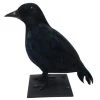Exclusive Crow Decoration