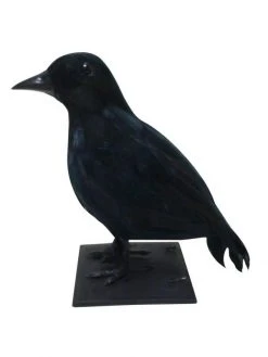 Exclusive Crow Decoration