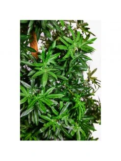 Exclusive Decor Weed Marijuana Leaf Artificial Christmas Tree