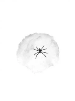 Smiffy's Decor Small Spider Web Fiber With Plastic Spider Prop